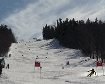 ncaa99-1.gif (22800 bytes)