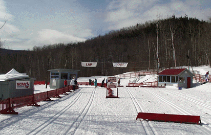 stadium.gif (85993 bytes)